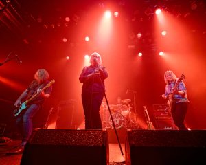 Festival Logo Magnapop