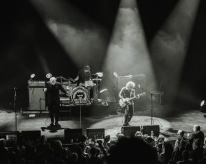 Festival Logo Claw Boys Claw