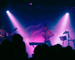 Festival Logo Parker Fans