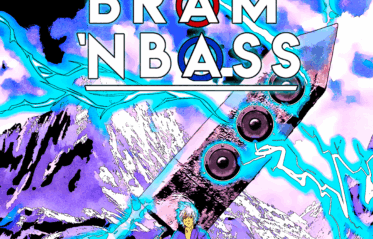 Bram 'n Bass Merleyn