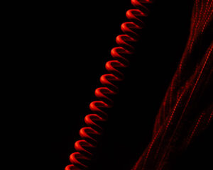 Festival Logo Early James