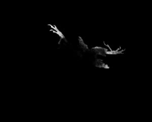 Festival Logo Amenra