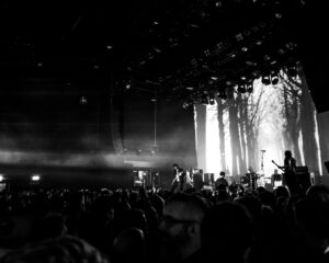 Festival Logo Amenra