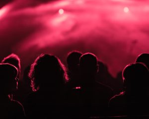 Festival Logo Robin Kester