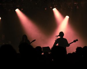 Festival Logo Robin Kester