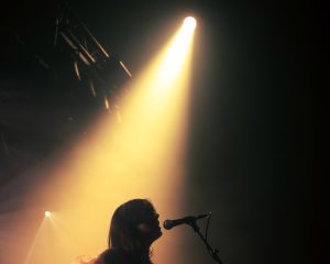 Festival Logo Robin Kester