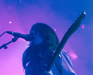 Festival Logo Robin Kester