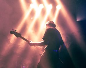 Festival Logo Robin Kester