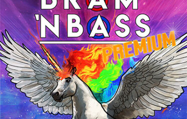 Bram 'n Bass Merleyn 13 juli
