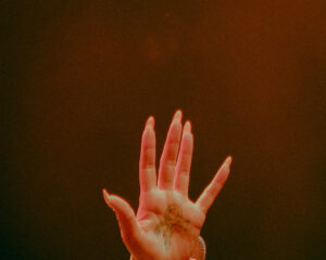 Festival Logo Zoë Livay