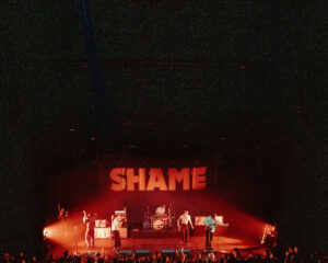 Festival Logo shame
