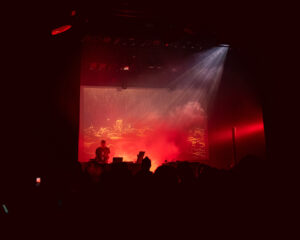 Festival Logo Brighter Death Now + Raison D’être + Desiderii Marginis