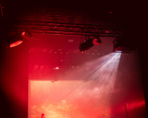 Festival Logo Brighter Death Now + Raison D’être + Desiderii Marginis