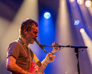 Festival Logo Giant Sand