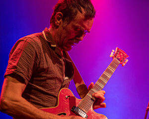 Festival Logo Giant Sand