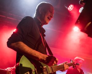 Festival Logo The Conceptuals