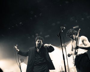 Festival Logo The Academic