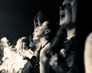 Festival Logo The Academic