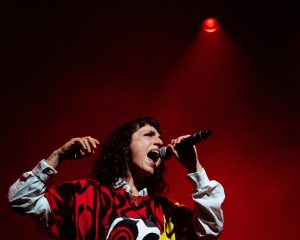 Festival Logo Sophie Straat