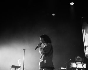 Festival Logo Sophie Straat