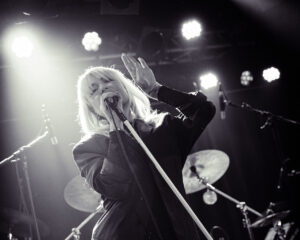 Festival Logo Case Candy