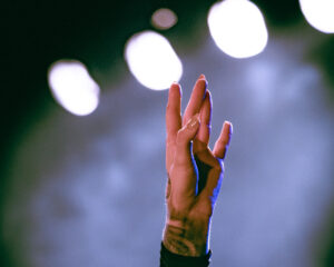 Festival Logo Case Candy