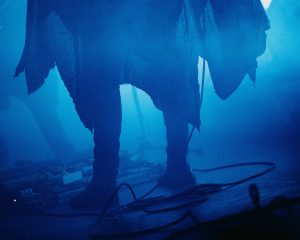 Festival Logo Briqueville + Hemelbestormer + Modder