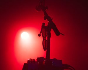 Festival Logo Dumbo Gets Mad