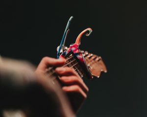 Festival Logo Buck Meek