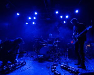 Festival Logo Green Milk From The Planet Orange