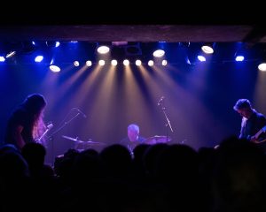 Festival Logo Green Milk From The Planet Orange