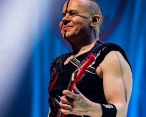 Festival Logo Ensiferum + Freedom Call + Dragony