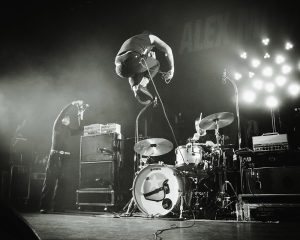 Festival Logo Royal Republic