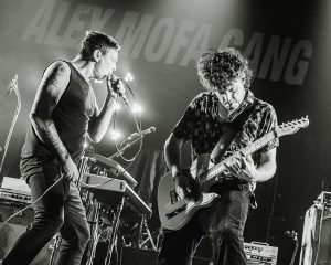 Festival Logo Royal Republic