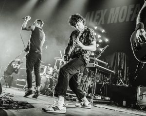 Festival Logo Royal Republic