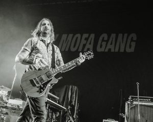 Festival Logo Royal Republic