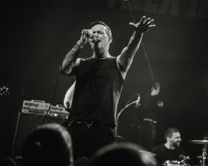 Festival Logo Royal Republic