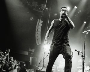 Festival Logo Royal Republic