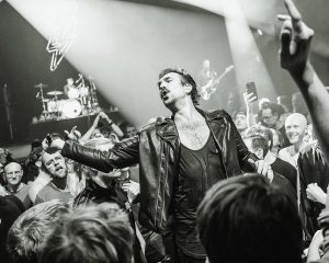 Festival Logo Royal Republic