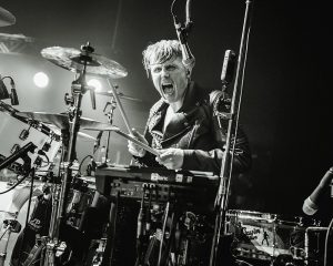 Festival Logo Royal Republic