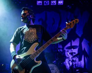 Festival Logo Fleddy Melculy + ROTZAK