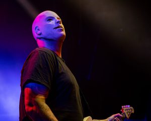 Festival Logo Fleddy Melculy + ROTZAK