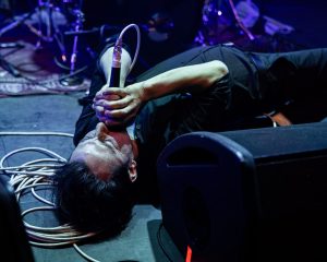 Festival Logo Fleddy Melculy + ROTZAK