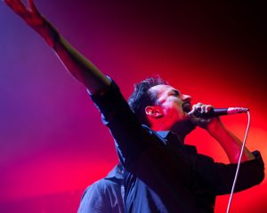 Festival Logo Fleddy Melculy + ROTZAK