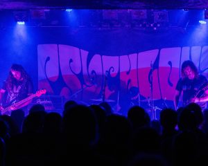 Festival Logo Psychlona