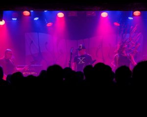 Festival Logo Psychlona