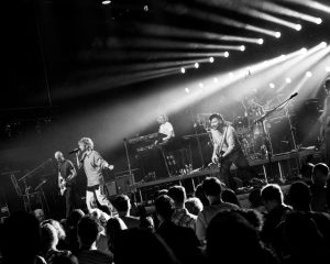 Festival Logo Krezip