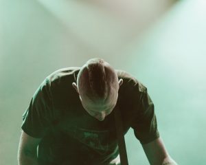 Festival Logo Cardinals