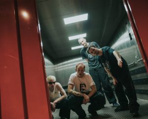 Festival Logo Cardinals