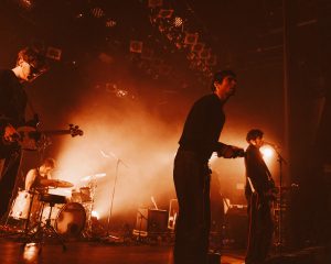 Festival Logo Cardinals